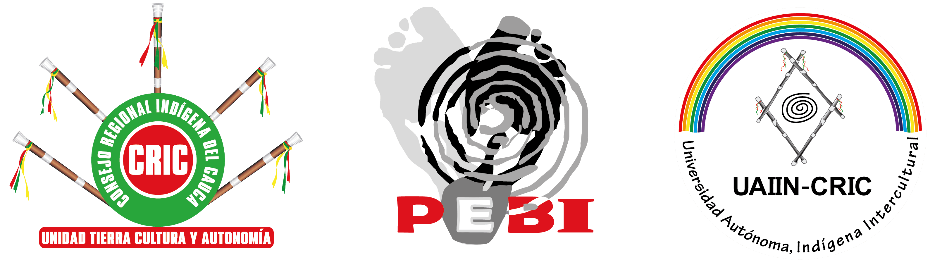 Logo de UNIVERSIDAD AUTÓNOMA INDÍGENA INTERCULTURAL - UAIIN